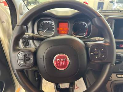 Fiat Panda  - panda 1.0 firefly hybrid cross s&s 70cv 5p.ti Bianco usata Torino