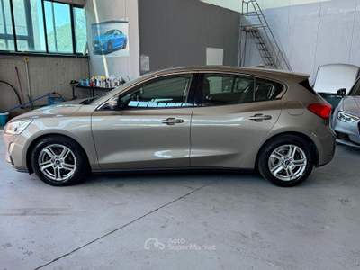 Ford Focus EcoBlue 120 CV 5p. Business usata POVIGLIO