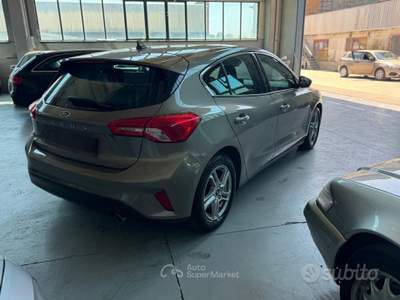 Ford Focus EcoBlue 120 CV 5p. Business usata POVIGLIO