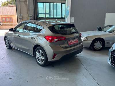 Ford Focus EcoBlue 120 CV 5p. Business usata POVIGLIO