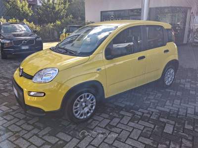 Fiat Panda Panda 1.0 FIREFLY HYBRID Giallo usata Pavia