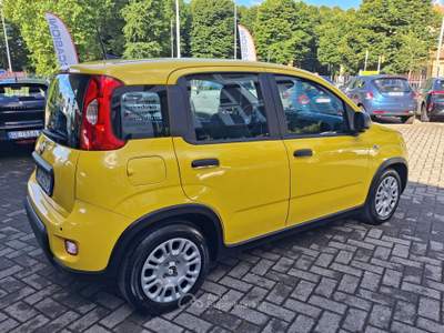 Fiat Panda Panda 1.0 FIREFLY HYBRID Giallo usata Pavia