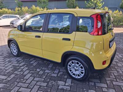 Fiat Panda Panda 1.0 FIREFLY HYBRID Giallo usata Pavia