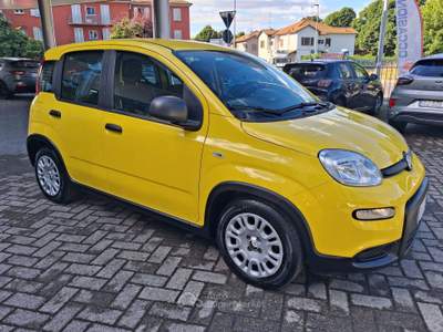 Fiat Panda Panda 1.0 FIREFLY HYBRID Giallo usata Pavia