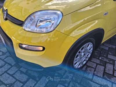 Fiat Panda Panda 1.0 FIREFLY HYBRID Giallo usata Pavia