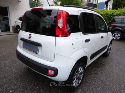 Fiat Panda Panda 1.3 mjt 16v 80cv 4x4 VAN AUTOCARRO Bianco usata Lagundo