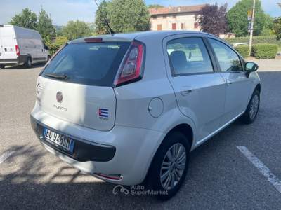 Fiat Punto Evo 5 porte Dynamic Natural Power Bianco usata Casalgrande
