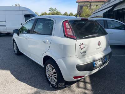 Fiat Punto Evo 5 porte Dynamic Natural Power Bianco usata Casalgrande