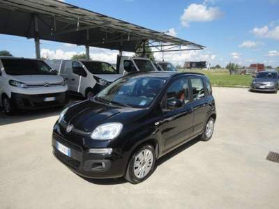 Fiat Panda Panda 1.2 Lounge Nero usata Castiglione delle Stiviere