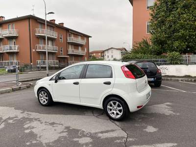 Fiat Punto 5p 1.4 easypower Street (easy) Gpl NEOPATENTATI Bianco usata Treviglio