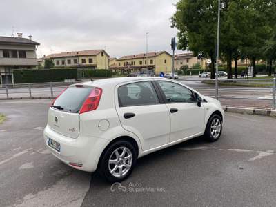 Fiat Punto 5p 1.4 easypower Street (easy) Gpl NEOPATENTATI Bianco usata Treviglio