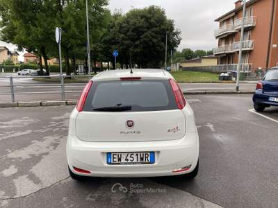 Fiat Punto 5p 1.4 easypower Street (easy) Gpl NEOPATENTATI Bianco usata Treviglio