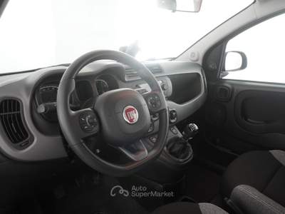 Fiat Panda Panda 1.0 FireFly Hybrid City Life Grigio usata Verona