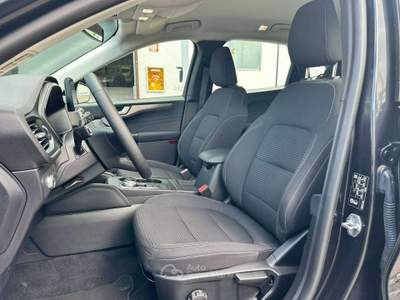 Ford Kuga 2.5 FHEV Titanium Business 2wd 190cv - AUT/NAV/CAMERA/PDC/LED/CARPLAY Nero usata Sesto San Giovanni