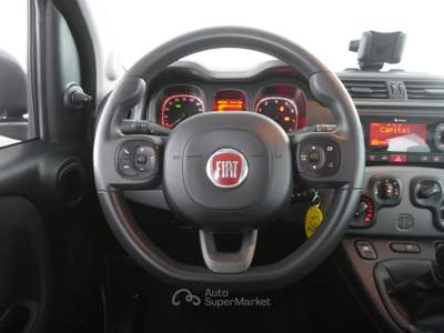 Fiat Panda Panda 1.0 FireFly Hybrid City Life Grigio usata Verona