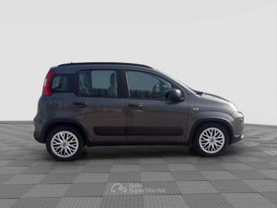 Fiat Panda Panda 1.0 FireFly Hybrid City Life Grigio usata Verona