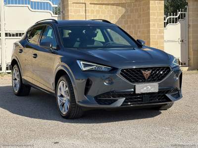 Cupra Formentor Formentor 2.0 TDI 4Drive DSG Grigio usata Grottaglie