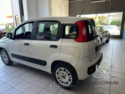 Fiat Panda 1.2 Lounge 69cv Bianco usata Capannori