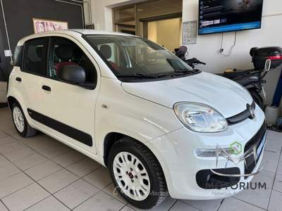 Fiat Panda 1.2 Lounge 69cv Bianco usata Capannori