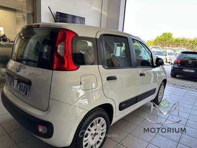Fiat Panda 1.2 Lounge 69cv Bianco usata Capannori