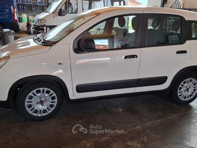Fiat Panda PANDA VAN 4 POSTI usata San Secondo di Pinerolo