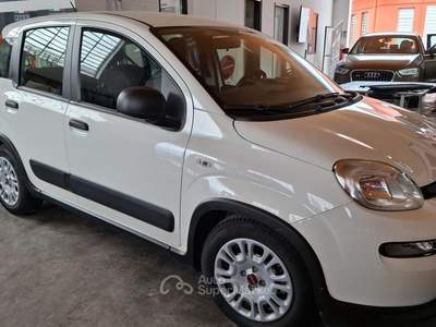 Fiat Panda PANDA VAN 4 POSTI usata San Secondo di Pinerolo
