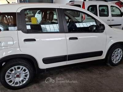 Fiat Panda PANDA VAN 4 POSTI usata San Secondo di Pinerolo