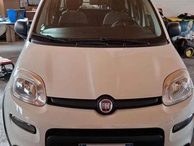 Fiat Panda PANDA VAN 4 POSTI usata San Secondo di Pinerolo