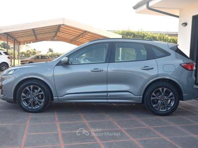 Ford Kuga EcoBlue Hybrid 150 CV 2WD ST-Line usata MODICA