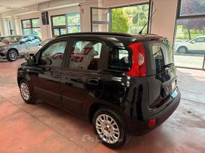 Fiat Panda Serie3 benz.1.2 CV69 per NEOPATENTATI K usata Montelabbate