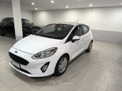 Ford Fiesta 5 porte Bus usata Mantova