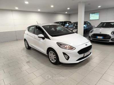 Ford Fiesta 5 porte Bus usata Mantova