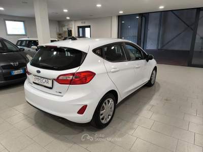 Ford Fiesta 5 porte Bus usata Mantova
