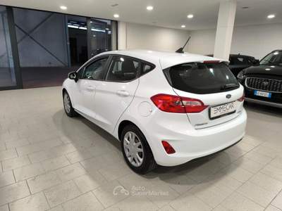 Ford Fiesta 5 porte Bus usata Mantova