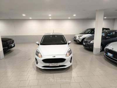 Ford Fiesta 5 porte Bus usata Mantova
