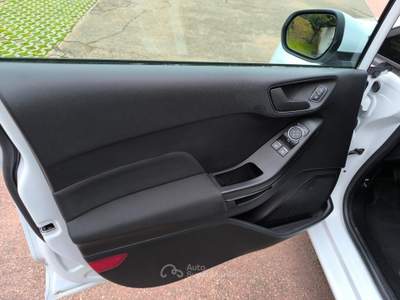 Ford Fiesta 5 porte Bus usata Mantova