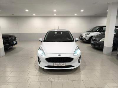 Ford Fiesta 5 porte Bus usata Mantova