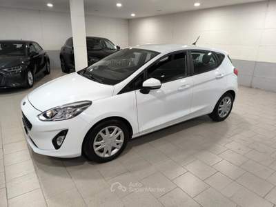 Ford Fiesta 5 porte Bus usata Mantova
