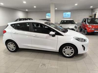 Ford Fiesta 5 porte Bus usata Mantova