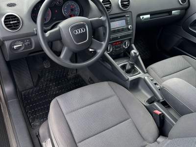 Audi A3 A3 Cabriolet Cabrio 1.6 TDI Attraction Bronzo usata Rimini