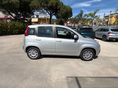 Fiat Panda 1.2 69cv E6 Easy Bianco usata Cercola