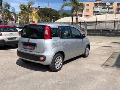 Fiat Panda 1.2 69cv E6 Easy Bianco usata Cercola