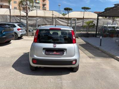Fiat Panda 1.2 69cv E6 Easy Bianco usata Cercola