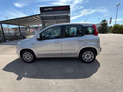 Fiat Panda 1.2 69cv E6 Easy Bianco usata Cercola