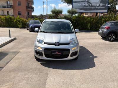 Fiat Panda 1.2 69cv E6 Easy Bianco usata Cercola