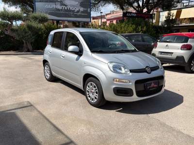 Fiat Panda 1.2 69cv E6 Easy Bianco usata Cercola