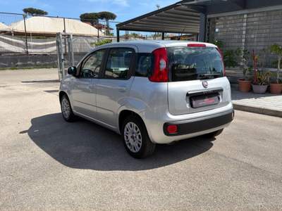 Fiat Panda 1.2 69cv E6 Easy Bianco usata Cercola