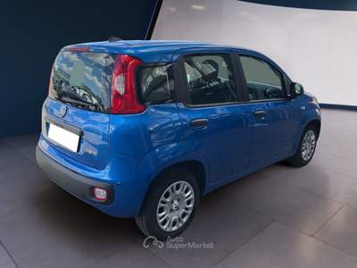 Fiat Panda Panda My25 1.0 70cv Hybrid Panda Blu/Azzurro usata Torino