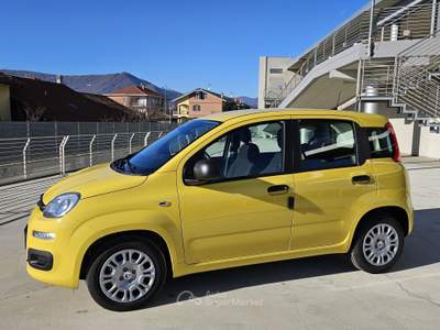 Fiat Pandina Pandina 1.0 firefly hybrid Icon s&s 65cv con BONUS EASY GO' Giallo usata Bruino