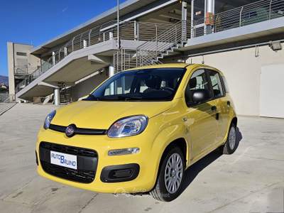 Fiat Pandina Pandina 1.0 firefly hybrid Icon s&s 65cv con BONUS EASY GO' Giallo usata Bruino